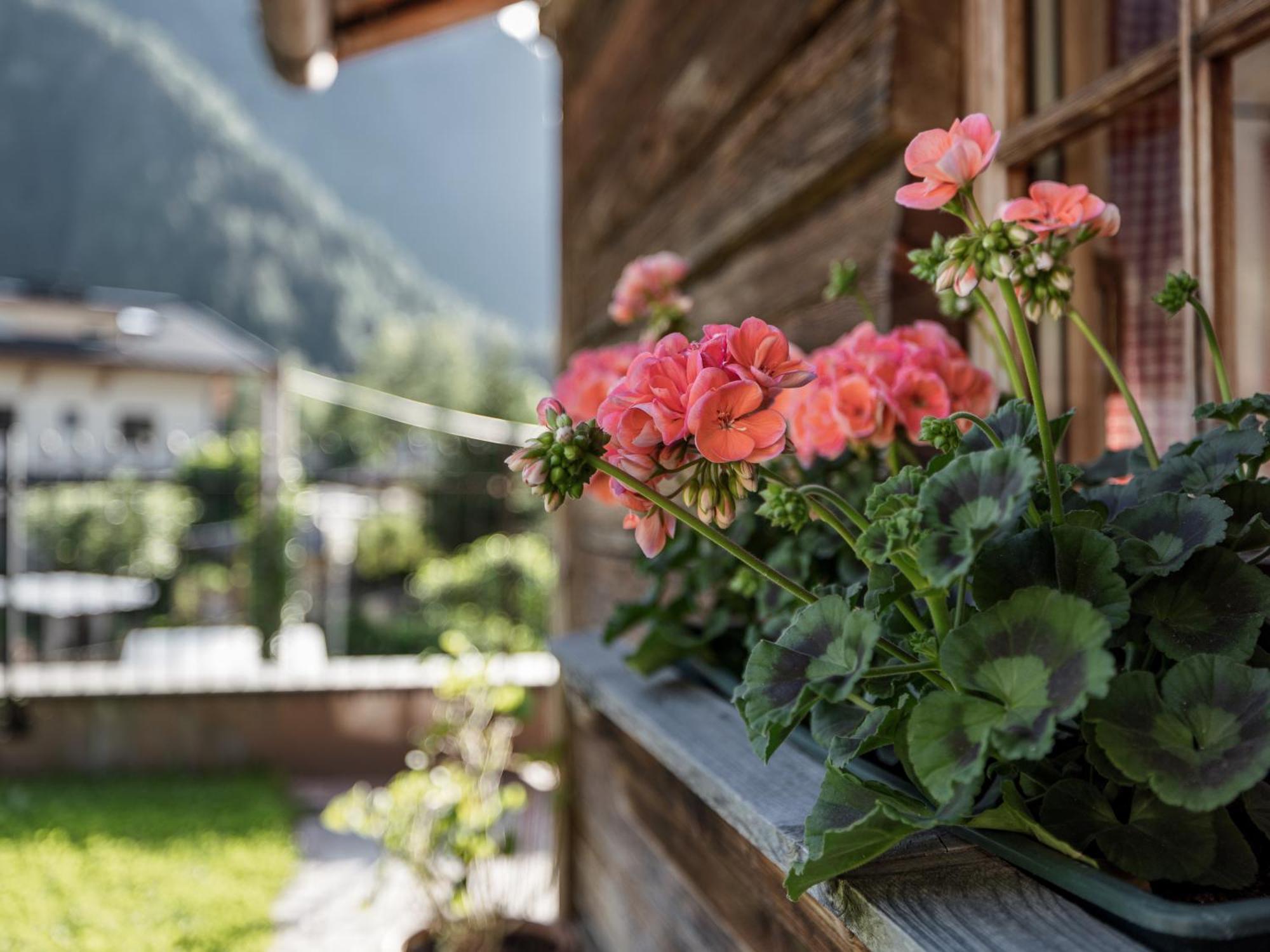 Myalps Muehlhof Inklusive Sauna Oetz Buitenkant foto